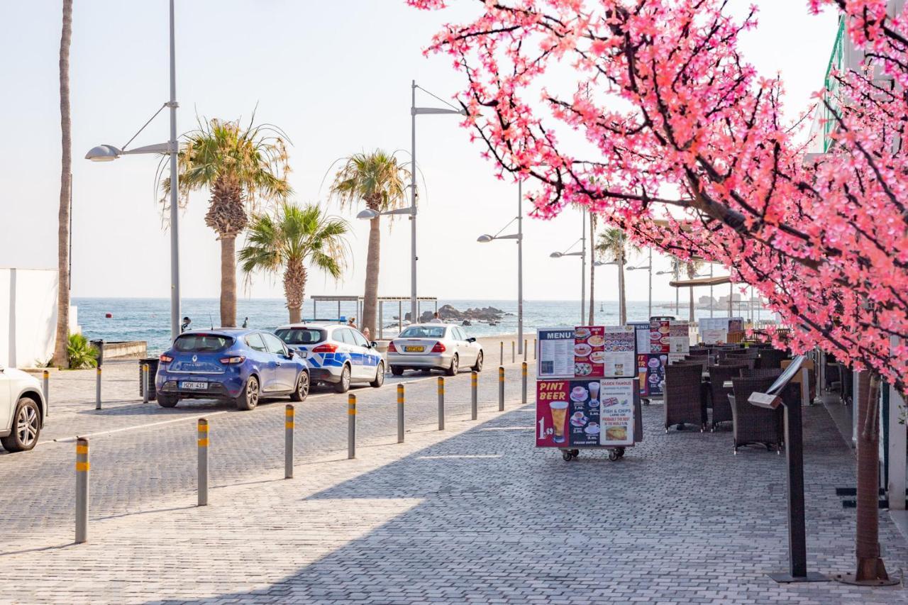 Light House - Seafront Cosy Studio With Library بافوس المظهر الخارجي الصورة